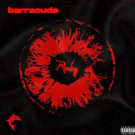 Barracuda | Boomplay Music