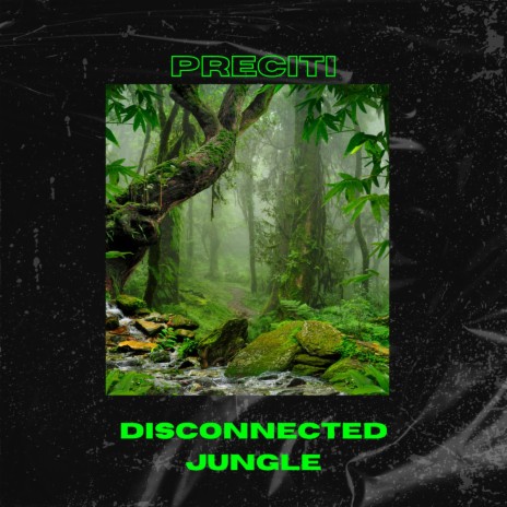 Disconnected Jungle | Boomplay Music