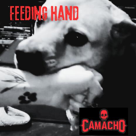 Feeding Hand | Boomplay Music