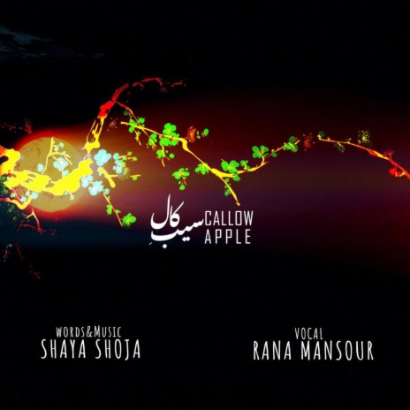 Sibe Kaal (Callow Apple) ft. Shaya Shoja | Boomplay Music