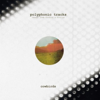 Polyphonic Tracks