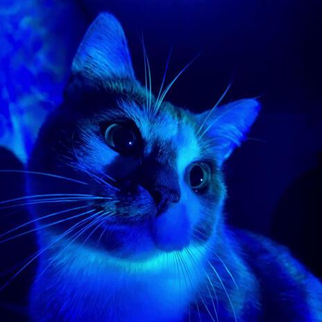 Light Up Blue