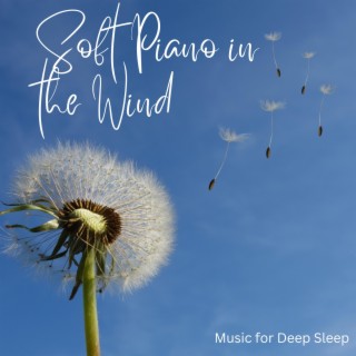 Soft Piano in the Wind Music for Deep Sleep