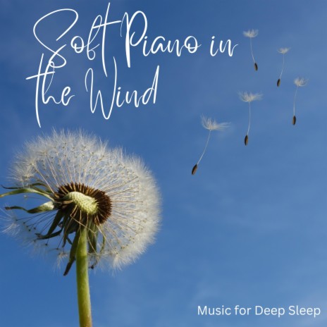Wind and Smooth Piano for Sleep ft. Deep Sleep Music Institute & Baby Sleep Music | Boomplay Music