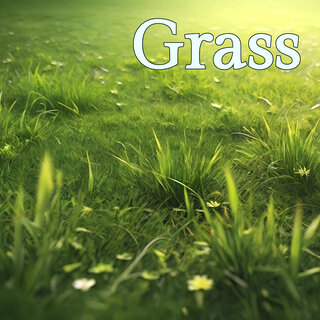 Grass