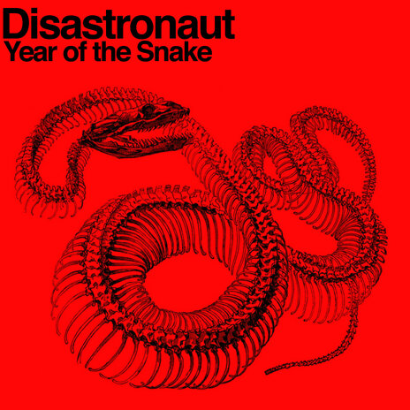 Year of the Snake | Boomplay Music