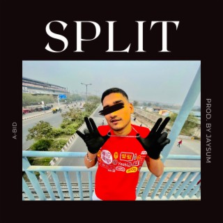 SPLIT