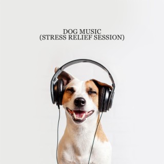 Dog Music (Stress Relief Session): 1 Hours of Relaxing Music to Calm Your Dog