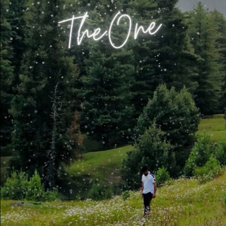 The One lyrics | Boomplay Music