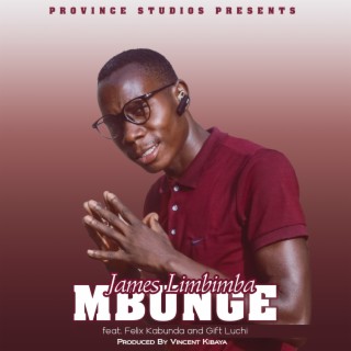 Mbunge