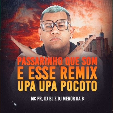 Passarinho Que Som É Esse? (Remix Upa Upa Pocotó) ft. DJ BL & DJ Menor da B | Boomplay Music