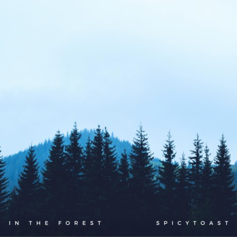 in the forest | Boomplay Music