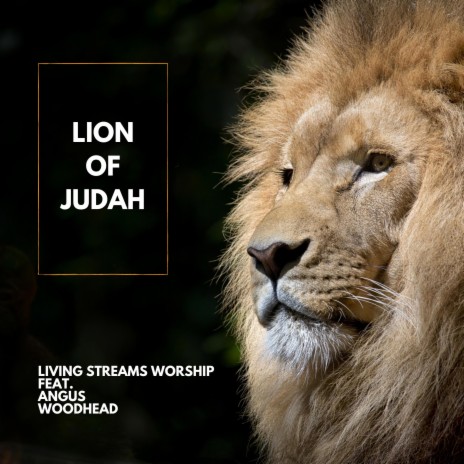 Lion Of Judah ft. Angus Woodhead | Boomplay Music