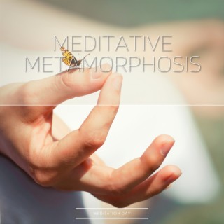 Meditative Metamorphosis