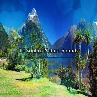 15 Soulful Nature Sounds