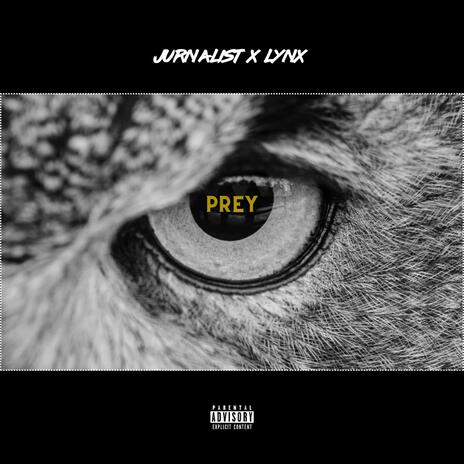 Prey ft. Jurnalist | Boomplay Music