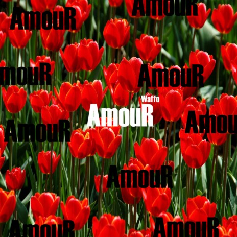 Amour | Boomplay Music