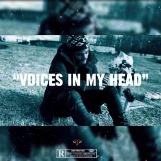 Voices In My Head lyrics | Boomplay Music