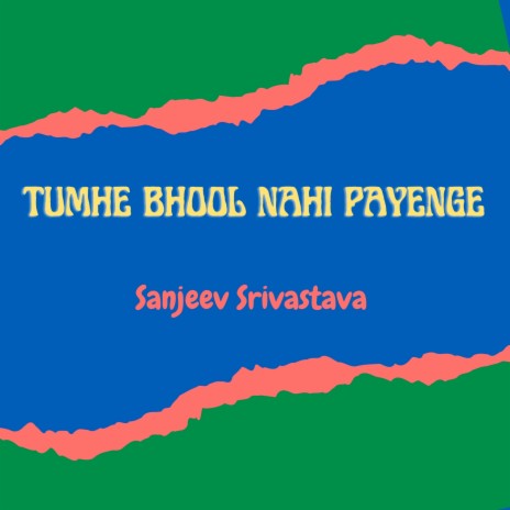 Tumhe Bhool Nahi Payenge | Boomplay Music