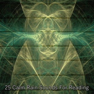 25 Calm Rain Sounds For Reading
