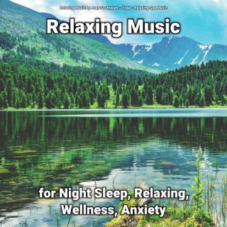 Relaxing Music for Night Sleep, Relaxing, Wellness, Anxiety