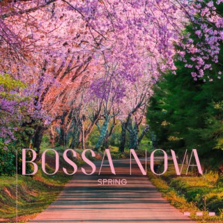 Bossa Nova Spring