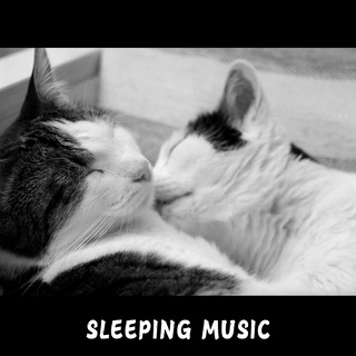 Sleeping Music