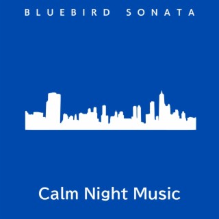 Calm Night Music