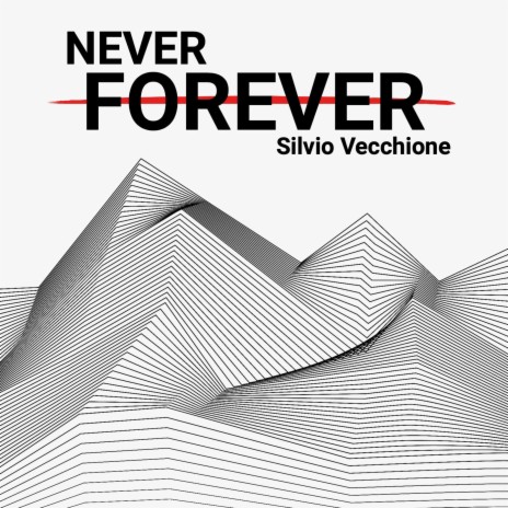 NEVER FOREVER | Boomplay Music