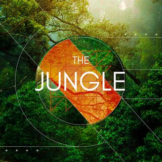 The Jungle