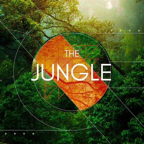 The Jungle ft. DJ Sriracha | Boomplay Music