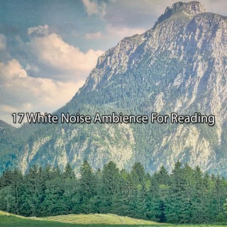17 White Noise Ambience For Reading
