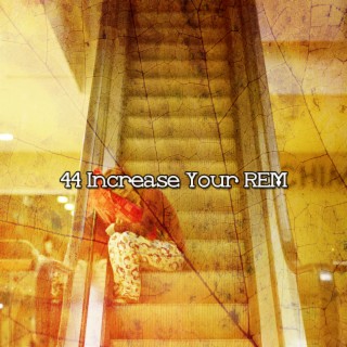 44 Increase Your REM