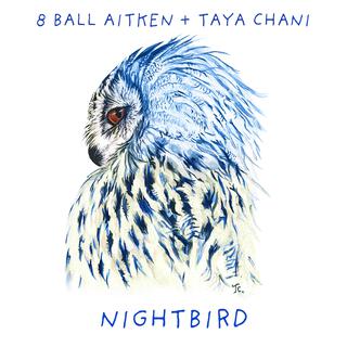 Nightbird ft. Taya Chani lyrics | Boomplay Music