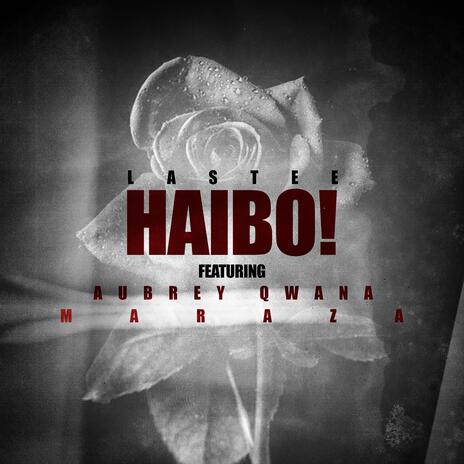 HAIBO ft. Aubrey Qwana & MarazA | Boomplay Music