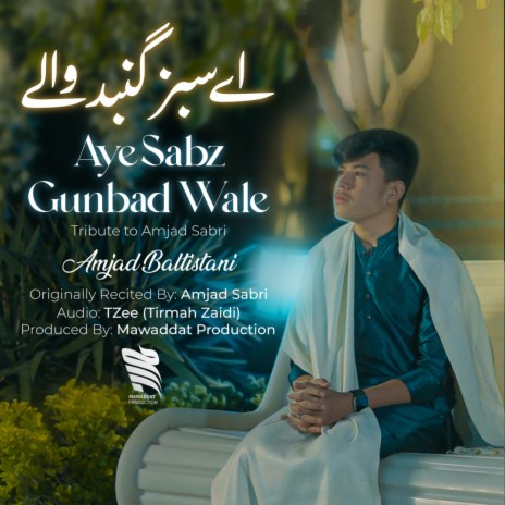 Aye Sabz Gumbad Wale ft. Amjad Baltistani | Boomplay Music