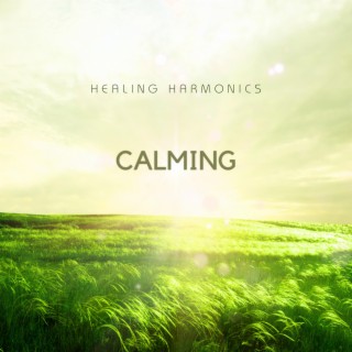 Calming Music