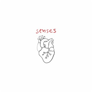 Senses lyrics | Boomplay Music