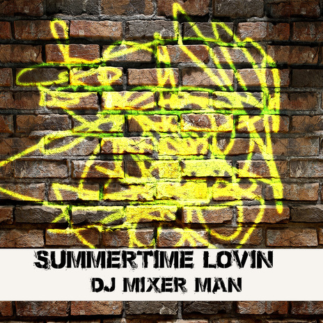 Summertime Lovin | Boomplay Music