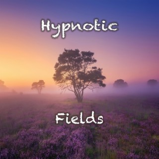 Hypnotic Fields