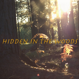 Hidden in The Woods