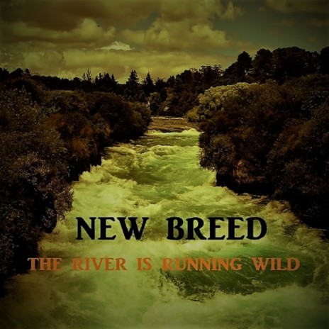 The river is running wild | Boomplay Music