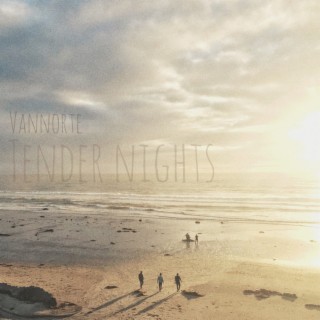 tender nights