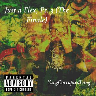 Just a Flex, Pt. 3 (The Finale)