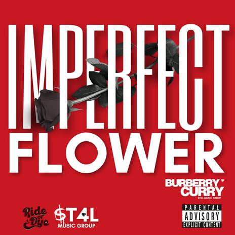 IMPERFECT FLOWER | Boomplay Music