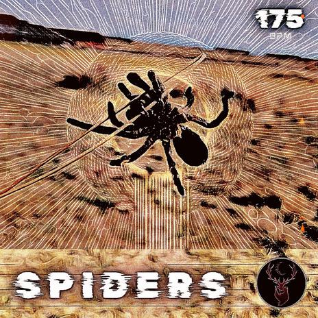 SPIDERS | Boomplay Music