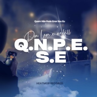 Q.N.P.E.S.E