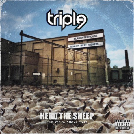 Herd The Sheep | Boomplay Music