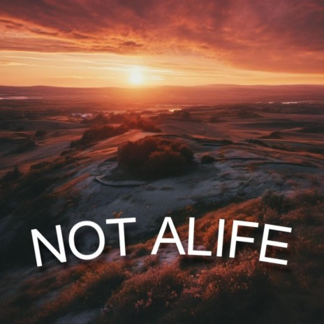 NOT ALIFE | Boomplay Music