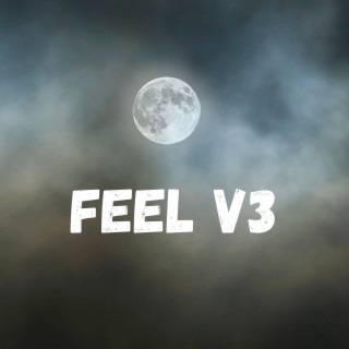 Feel V3